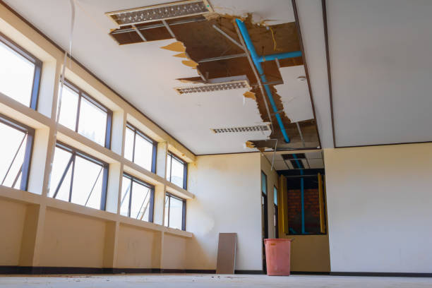 Best Mold removal after water damage  in Lucerne Valley, CA