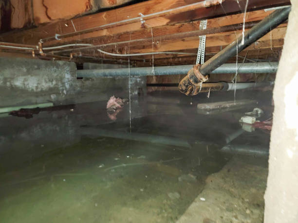 Best 24-hour water damage restoration  in Lucerne Valley, CA