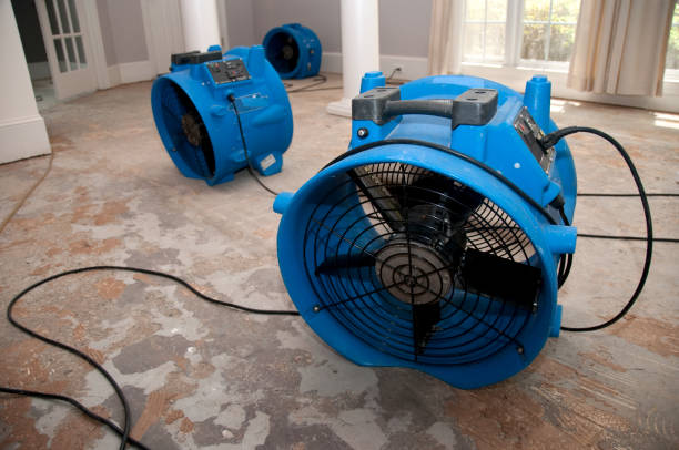 Reliable Lucerne Valley, CA Water damage restoration Solutions