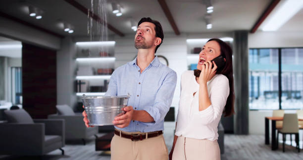 Best Ceiling water damage repair  in Lucerne Valley, CA